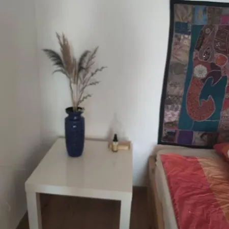 Herrliche Ferienwohnung - 10 Gehminuten Zum Strandbad Apartment Friedrichshafen